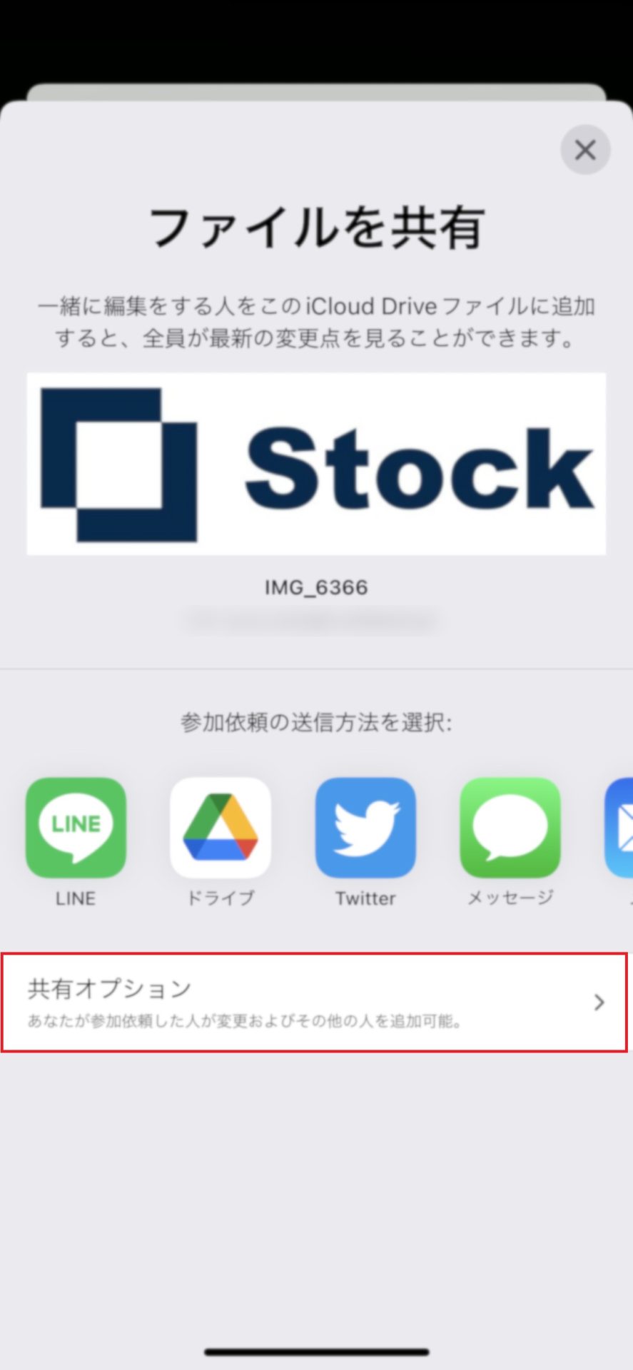 共有オプションの選択画面