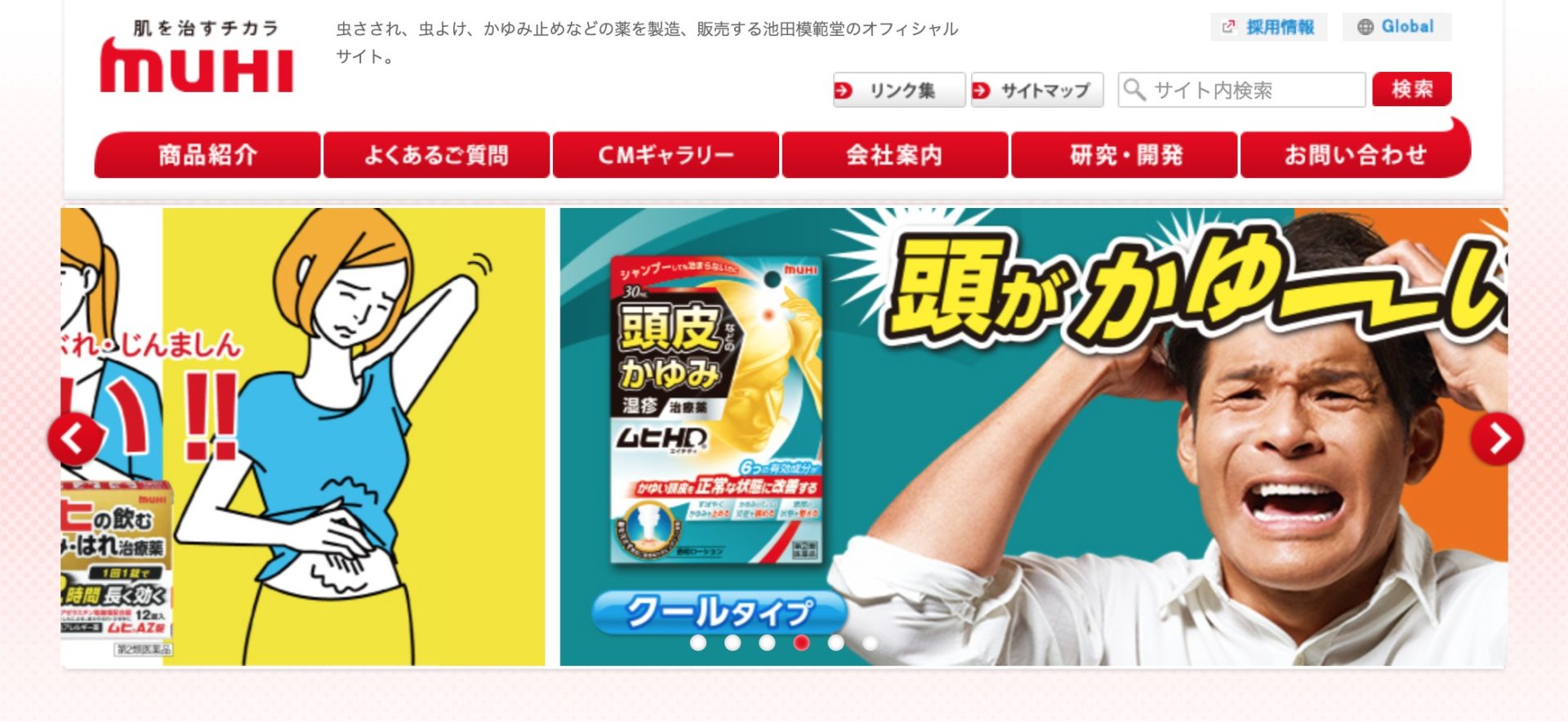 株式会社池田模範堂のトップページ