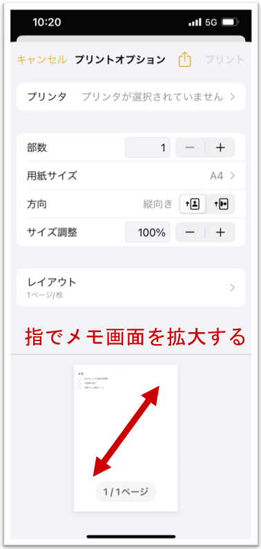 iPhoneメモのプリントオプション画面