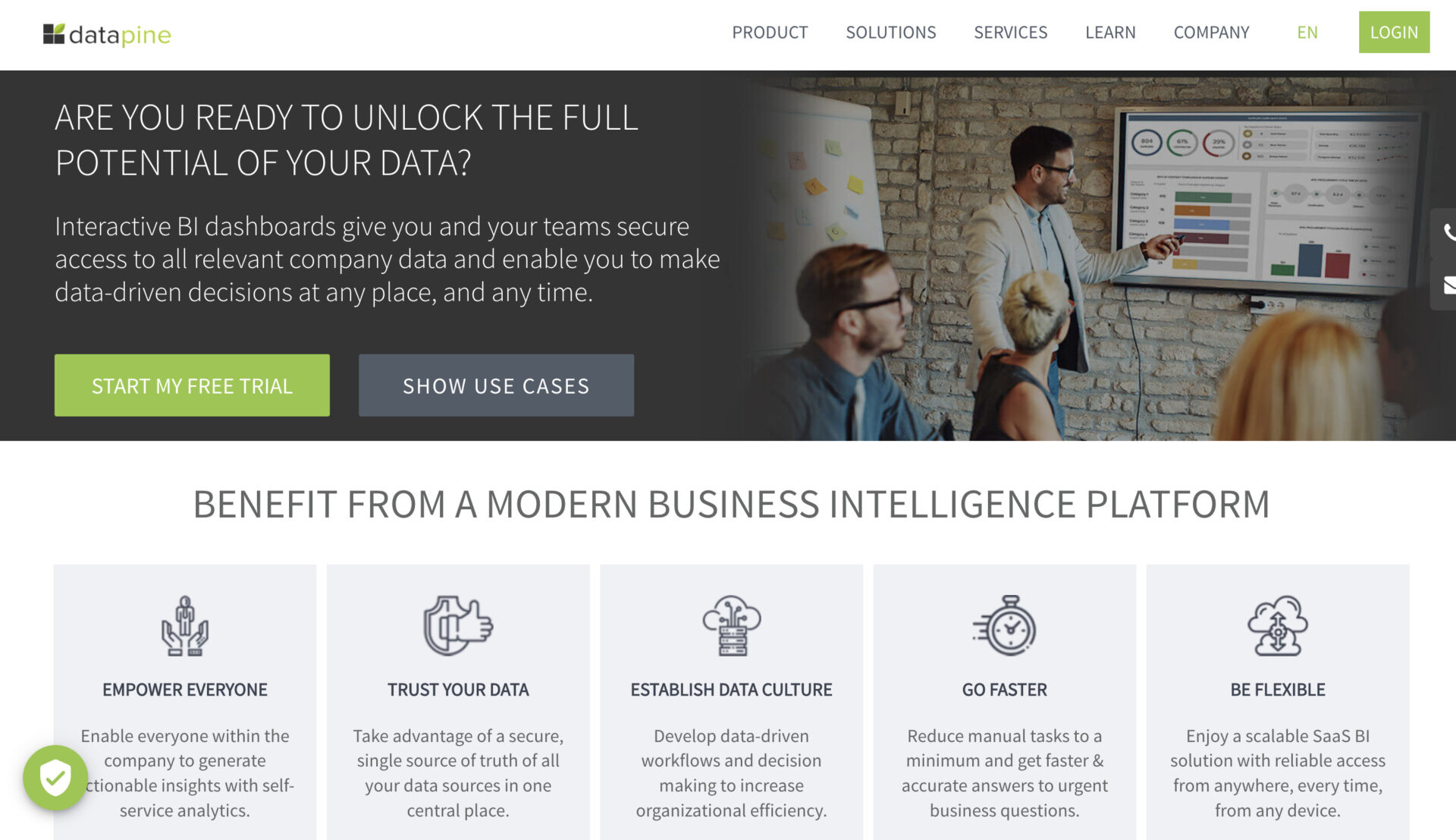 screenshot of datapine