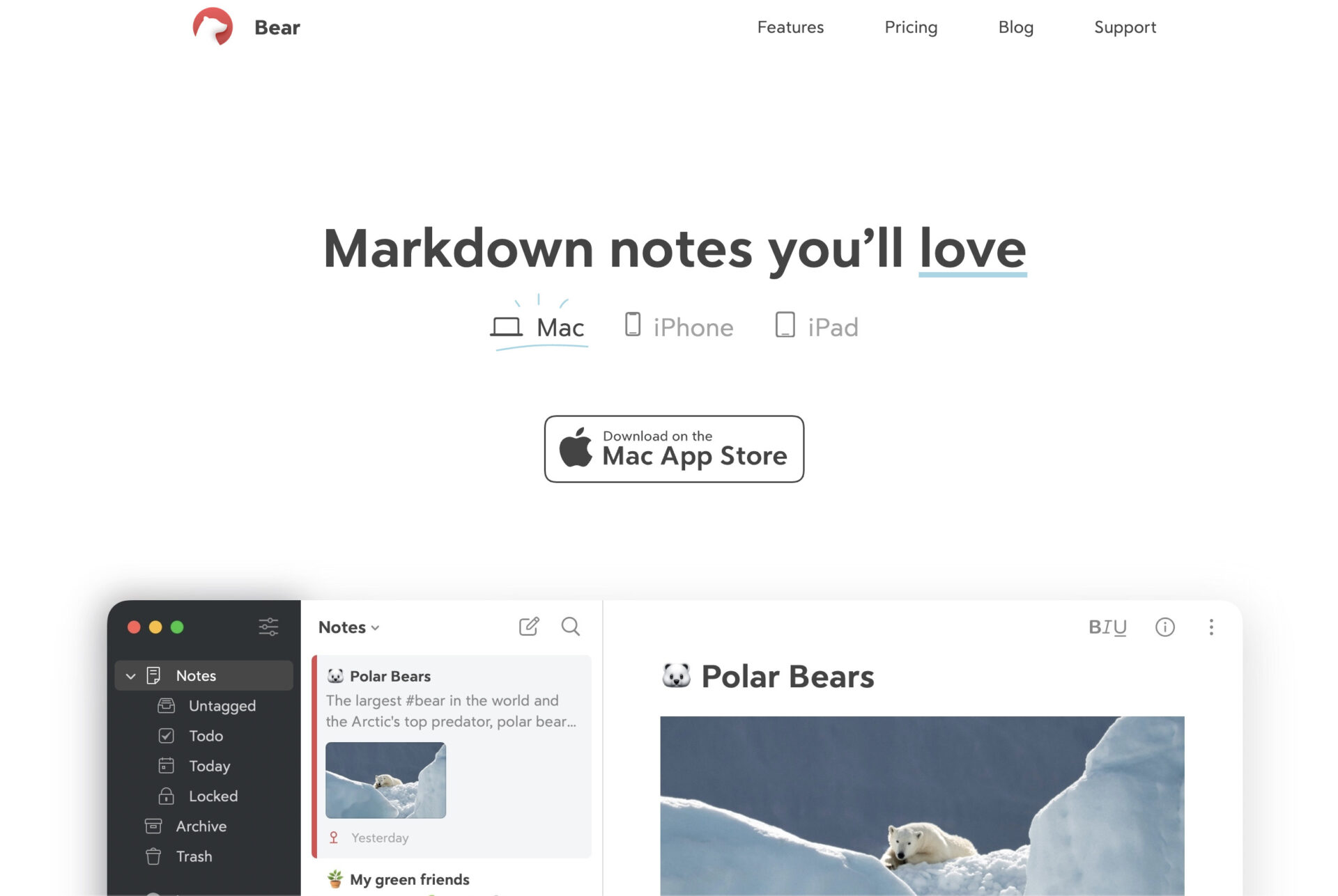 Picture of top page of Bear