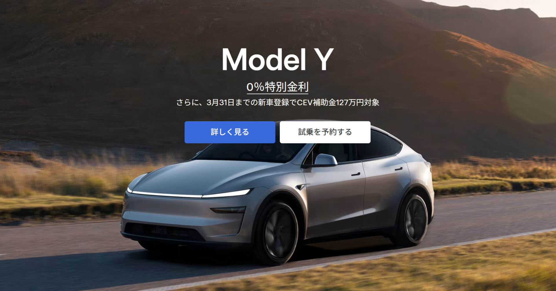 “テスラのホームページ”